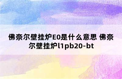 佛奈尔壁挂炉E0是什么意思 佛奈尔壁挂炉l1pb20-bt